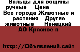 Вальцы для вощины ручные  › Цена ­ 10 000 - Все города Животные и растения » Другие животные   . Ненецкий АО,Красное п.